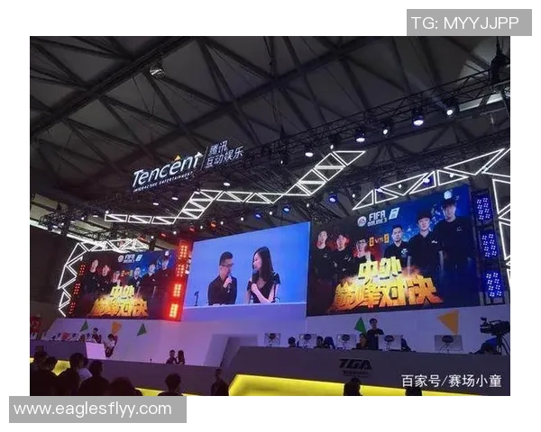 杭州排球队灵活性探讨：提升竞技水平与团队协作的关键因素