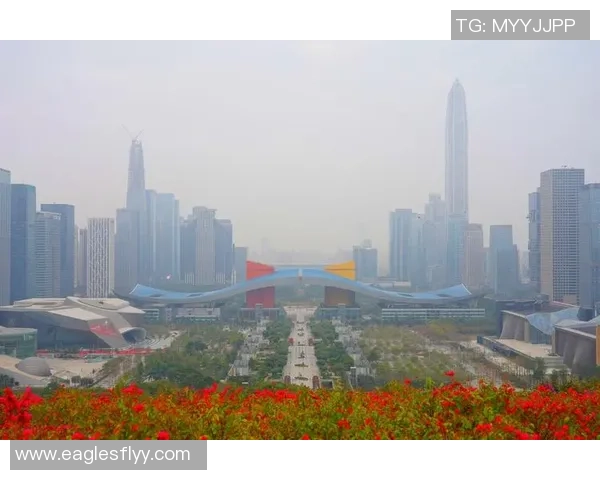 深圳乒乓球队的崛起之路与奋斗历程全景回顾