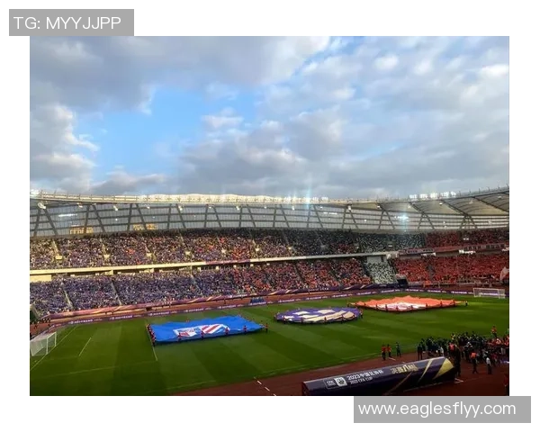 高清足球明星旗帜图片展示让你感受球场激情与荣耀