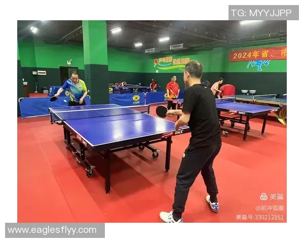 乒乓球的魅力与精神：深入了解武汉乒乓球队的训练与文化