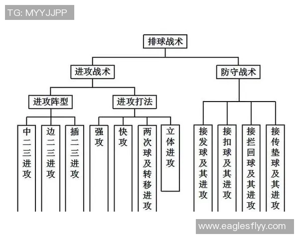 成都排球队的战术演变与技术提升深度解析