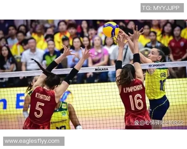 深圳排球队创新高排球状态排名引发关注与期待